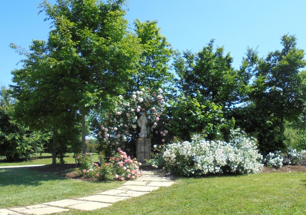 La Casa Di Campagna Villa Reggio Emilia Exterior photo